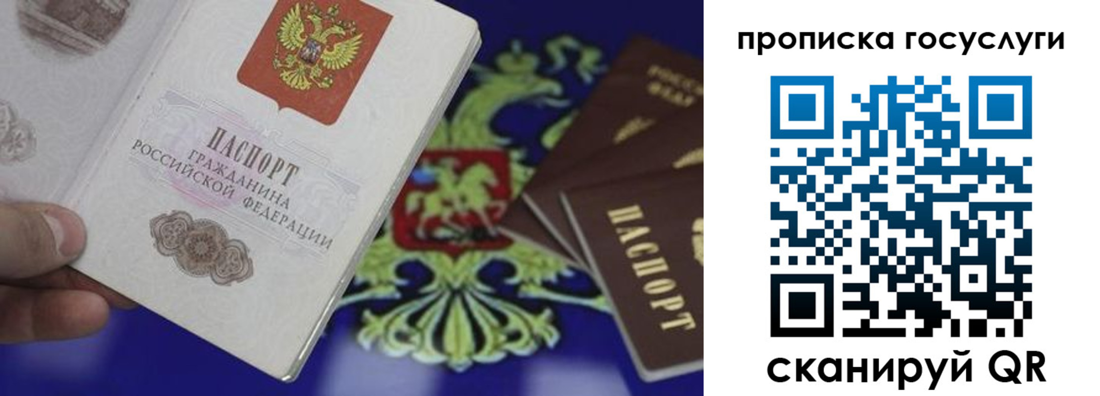 прописка для школы в Кирсанове